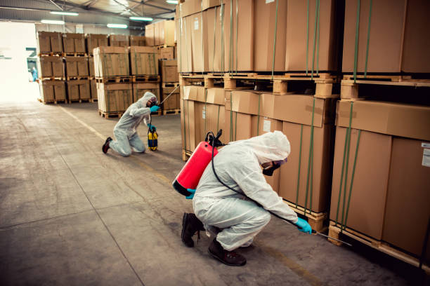 Trusted South San Francisco, CA Pest Control Experts