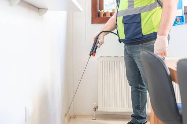 Best Rat Extermination Near Me  in South San Francisco, CA