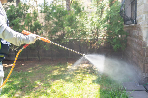 Best Affordable Pest Control Services  in South San Francisco, CA
