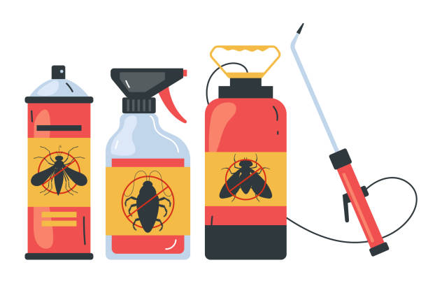 Best Pest Control Near Me in South San Francisco, CA