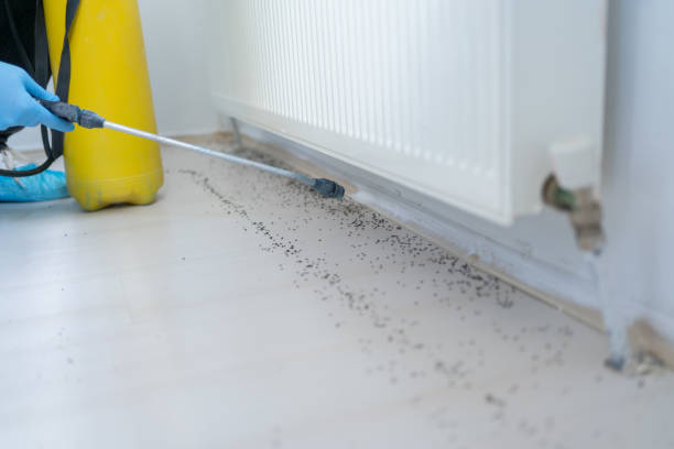 Best Pest Inspection Near Me  in South San Francisco, CA